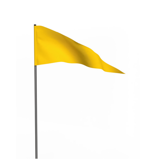 3' x 8' Pennant Custom Flag
