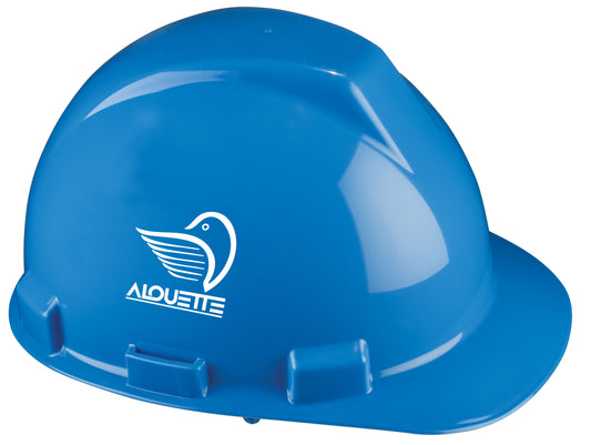 Copy of Hard Hat ANSI Type I W/Logo